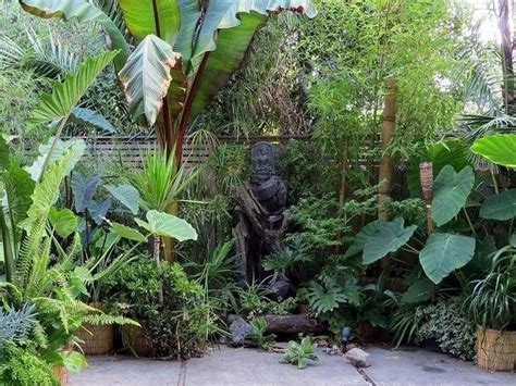 How To Design A Tropical Garden Uk