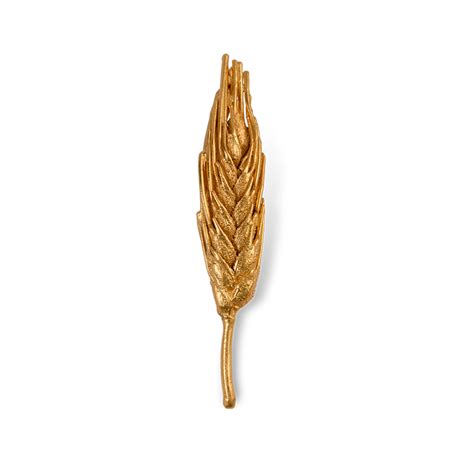 Ear (fruiting body of a grain plant) . Колос - La Vie En