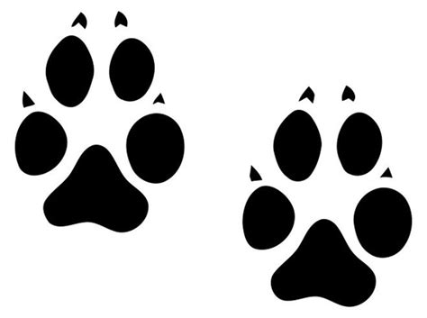 Download Animal tracks clipart - Clipground
