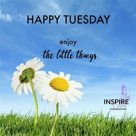 Happy Tuesday Enjoy The Little Things Pictures Photos And Images For