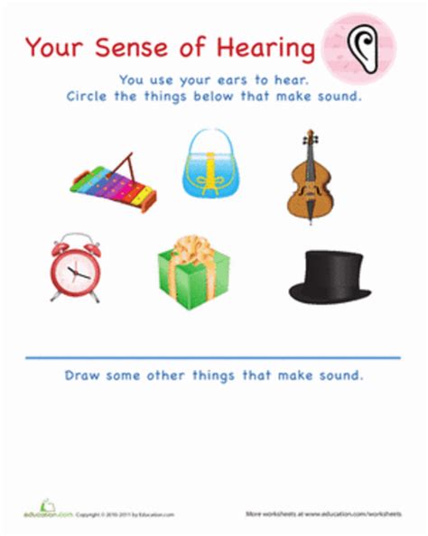How To Teach Kids Sense Of Hearing Five Senses Hubpages