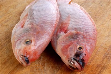 Two Fresh Organic African Tilapia Stock Photo Image Of Delicious