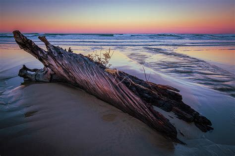 Cannon Beach Sunset Log Photograph By Will Tieo Fine Art America