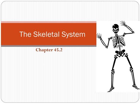 Ppt The Skeletal System Powerpoint Presentation Free Download Id