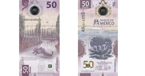 Sangrado Activar Fuera De Servicio Billete De 5 000 Pesos Mexicanos