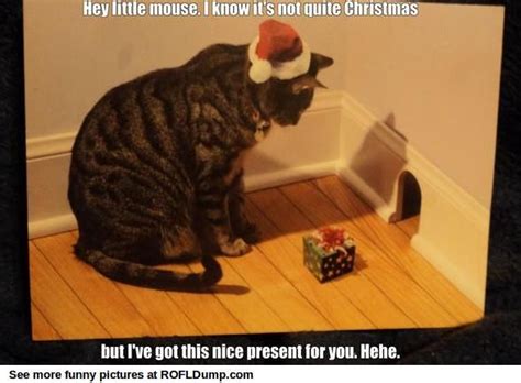 Present For Little Mouse Meme Funny Lol Cat