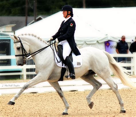 Canadian Dressage Olympic Team Members Jacqueline Brooks And D Niro