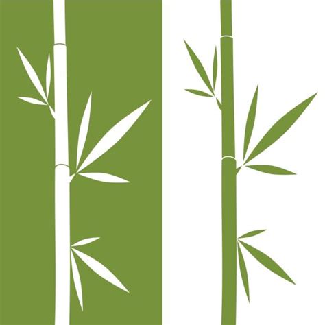 3 500 Bambou Zen Stock Illustrations Graphiques Vectoriels Libre De