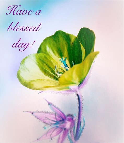 Free Blessed Day Cliparts Download Free Blessed Day Cliparts Png
