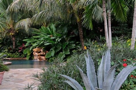 Tropical Design Tropical Garden Miami By Knoll Landscape Design