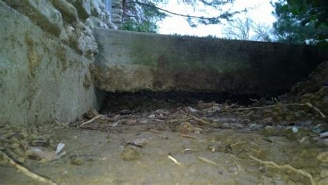 This mix of sand, cement, and water is pumped through holes drilled to fill up the voids. How do I fill void under porch - DoItYourself.com Community Forums