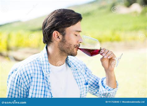 Man Drinking Red Wine Stock Photo Image Of Head Eyes 91753840
