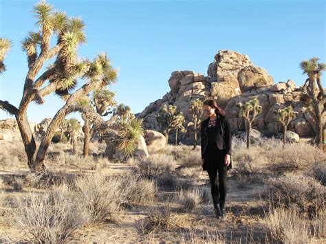 Hello all,i know its 2020 and i am posting a vacation video from 2019.better late than never ay?well, i hope you enjoy and travel to this beautiful place. Joshua Tree Nationalpark - Felsformationen, Joshua Tree ...