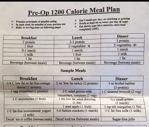 Printable Dr Now Diet Plan Customize And Print