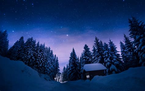 배경 화면 자연 겨울 눈 밤 별 나무 숲 선실 통로 1920x1200 Alvin3206 1208623