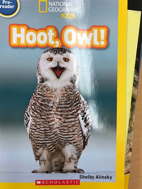 Owl Book Owl Books Owl Owl Theme