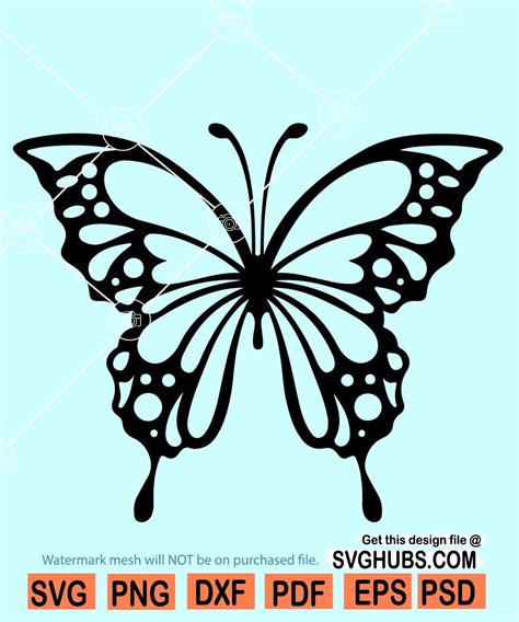 Butterfly SVG files for cricut, Butterfly SVG file, Butterfly cut file