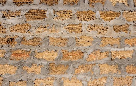 Wild Stone Shell Rock Wall Texture Decoration Of External Walls With