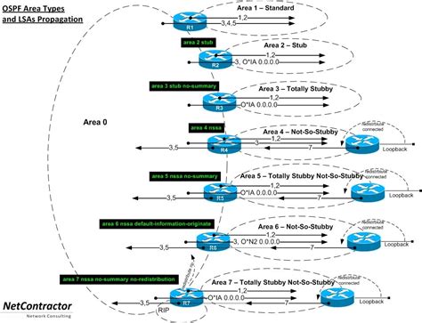 Netcontractor Blog Ospf Area Types And Lsa Propagation Networking