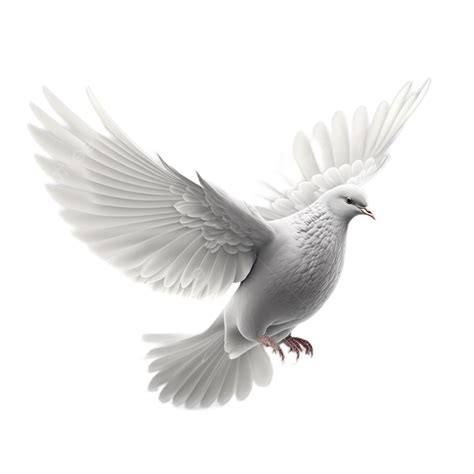 Peace Dove Flying Cartoon White Background Transparent Pigeon Fly