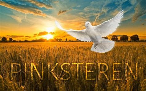 Pinkster in english almost always refers to the festivals held by african americans (both free and slave) in the northeastern united states, particularly in the early 19th century.to the dutch, pinkster was a religious holiday, a chance to rest. Pinksteren - De liefde van Jezus in de psalmen