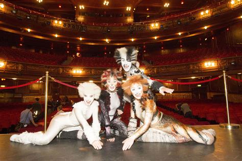 We did not find results for: Legendary musical Cats is coming to the London Palladium ...