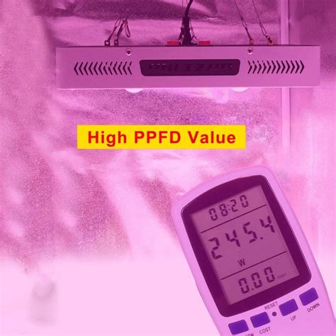 Phlizon cree cob series 3000w 2000w 1000w led plant grow light for indoor plants. Phlizon CREE COB 1000W LED Grow Light - GrowYour420