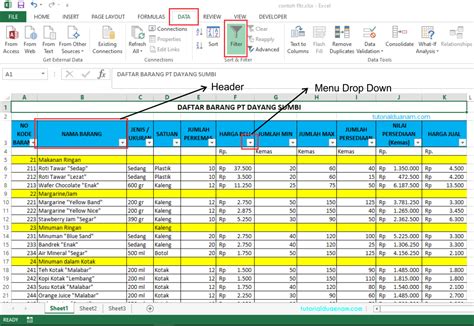 Cara Membuat Data Filter Di Excel Warga Co Id
