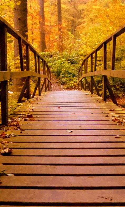 1280x2120 Wooden Bridge Forest Autumn Leaves Iphone 6 Hd 4k Wallpapers