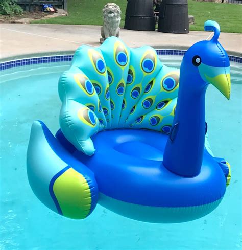 Fun Swimming Pool Floats From Reclining To Spring Floats Swimming