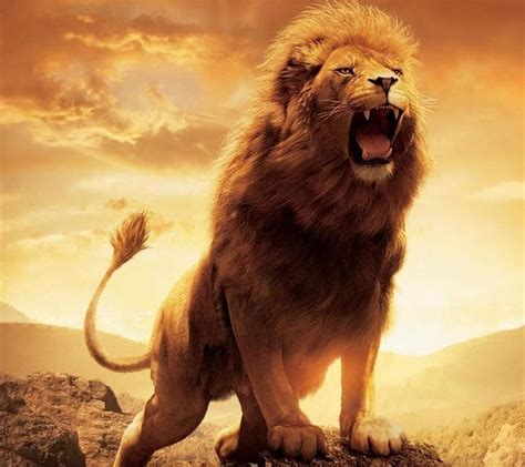 Roaring Lion Wallpaper Hd