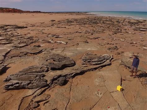 The Largest Dinosaur Footprint Ever Has Been Found In Australia S