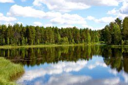 Alle termine, informationen und bedeutung zum feiertag mittsommer ist ein nationalfeiertag und findet als nächstes am 26.06.2021 (kw 25) statt. So feiern die Schweden Mittsommer - Schweden-Kompass.de