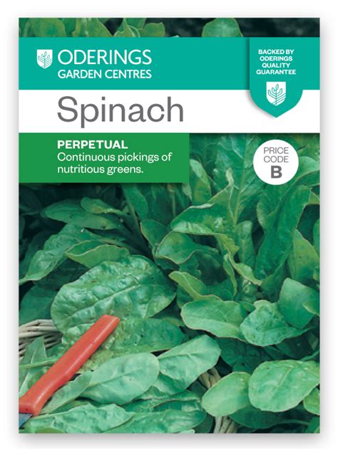 Oderings Garden Centre Vegetable Seeds Spinach Perpetual