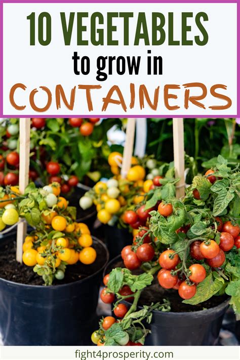 How To Grow Vegetables In Containers For Beginners Container