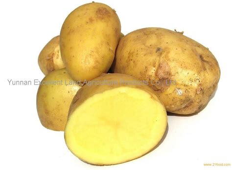 Yellow Sweet Potato For Salechina Excellent Land Price Supplier 21food