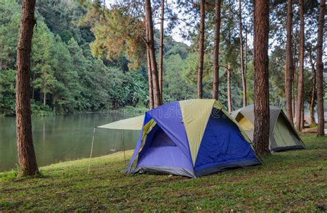 There is something very calming about spending a few days near the sounds and sights of a beautiful lake, river, or the ocean. Forest Camping Tents Near Lake Stock Photo - Image of ...