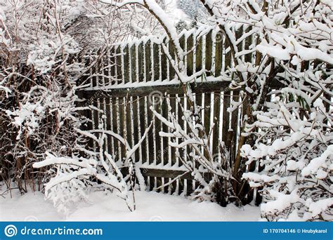 Snow Covered Wooden Fence In A Winter Garden Stock Photo Image Of
