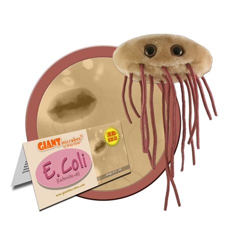 E Coli Giant Microbe