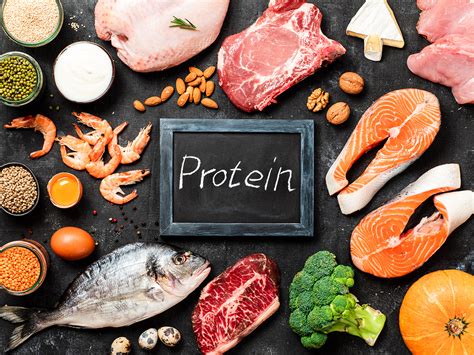 The Power Of Protein