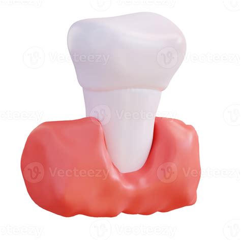 3d Illustration Of Teeth And Gums 21017724 Png