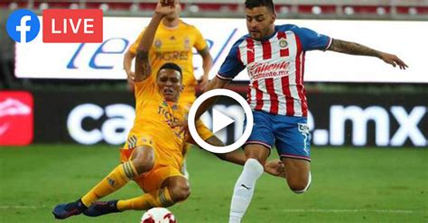 Tigres vs chivas how to watch or live stream online 2020 liga mx free today predictions and odds bolavip us us.bolavip.com. Chivas vs Tigres 05 de Septiembre 2020 - INSCRIPCIONES ...