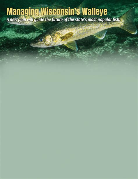 Wisconsin Fishing Report 2023 By Wisconsin Natural Resources Magazine