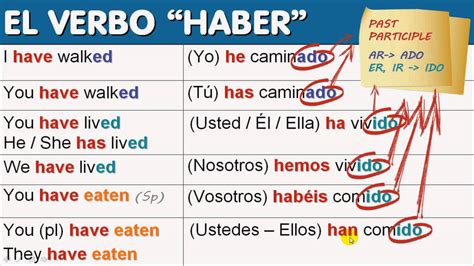 Haber As An Auxiliary Verb Its Perfect 18 Youtube