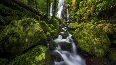 Waterfall Between Trees Covered Rocks And Water Stream Between Algae Covered Rocks HD Nature ...