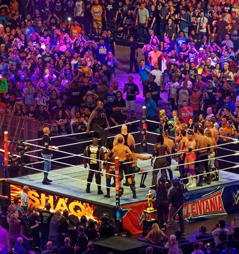 The 20 Biggest Matches In Wrestlemania History Vrogue Co