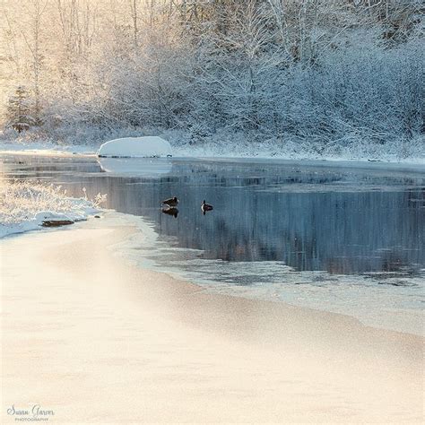 First Snowfall Bar Harbor Maine Maine Photography Winter Scenery