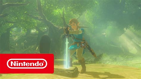 Nintendo Switch The Legend Of Zelda Breath Of The Wild Pack Nintendo