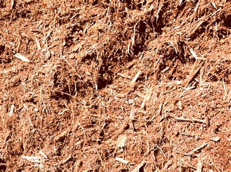 Straw mulch applied alone at any rate provided ≥90% control of toothed dock, but control of other shredded newspaper and wheat straw applied at 0, 2, 4, or 6 weeks after transplanting (wat) and. Mulch & Pinestraw - Just My Style Landscapes