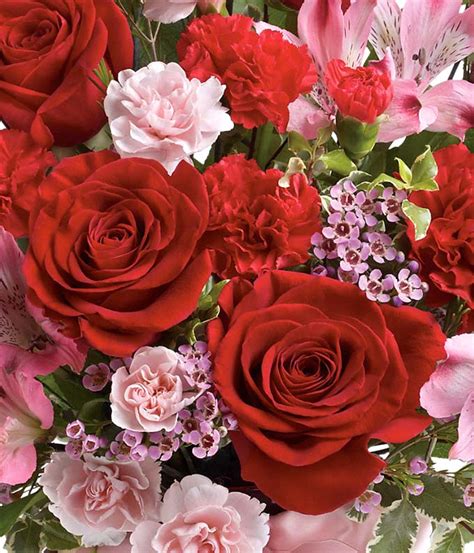 Valentine's day flower delivery is the perfect gift to celebrate your love. Florist Designed Valentine's Day Flowers at From You Flowers